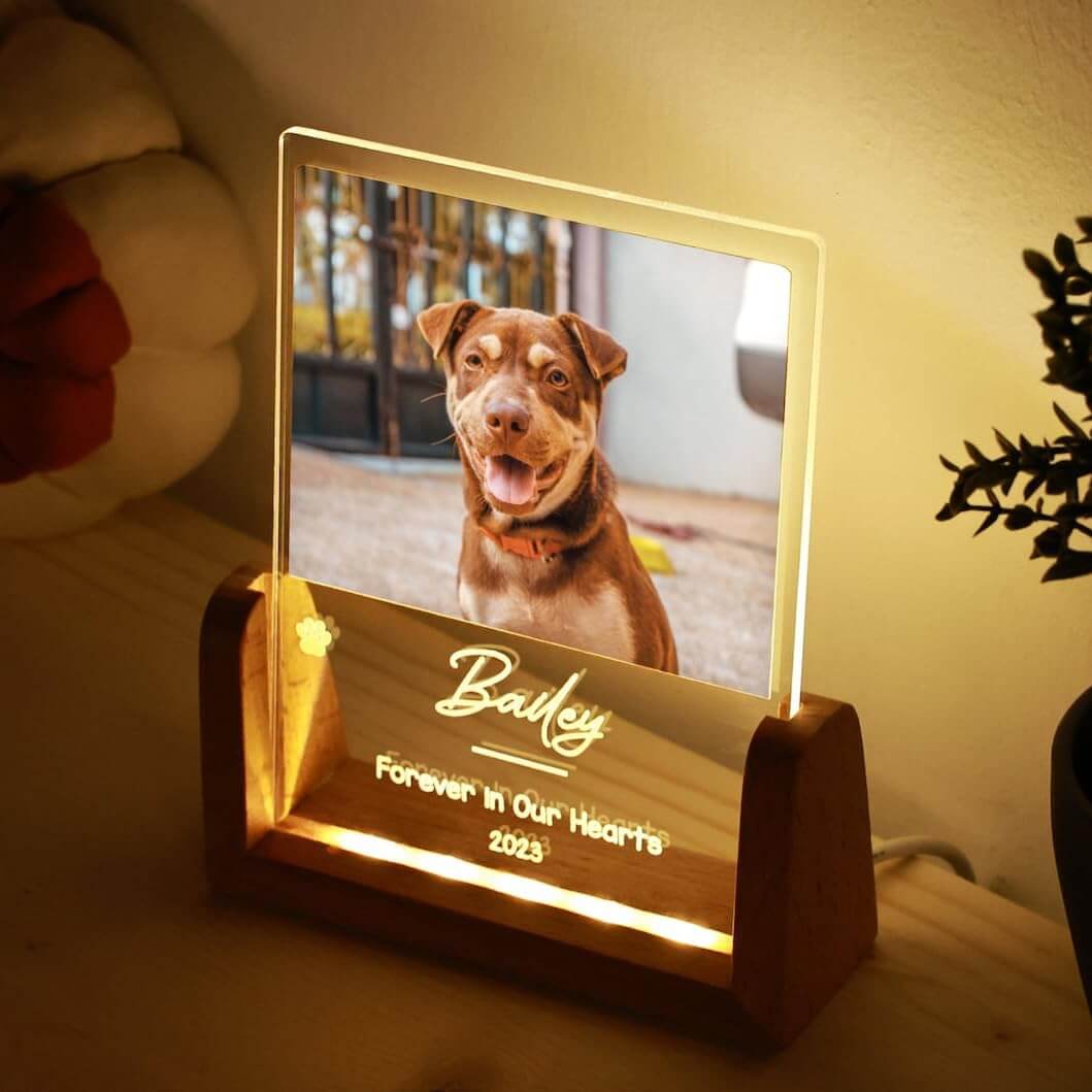 Custom Pet Memorial LED Lamp - 3