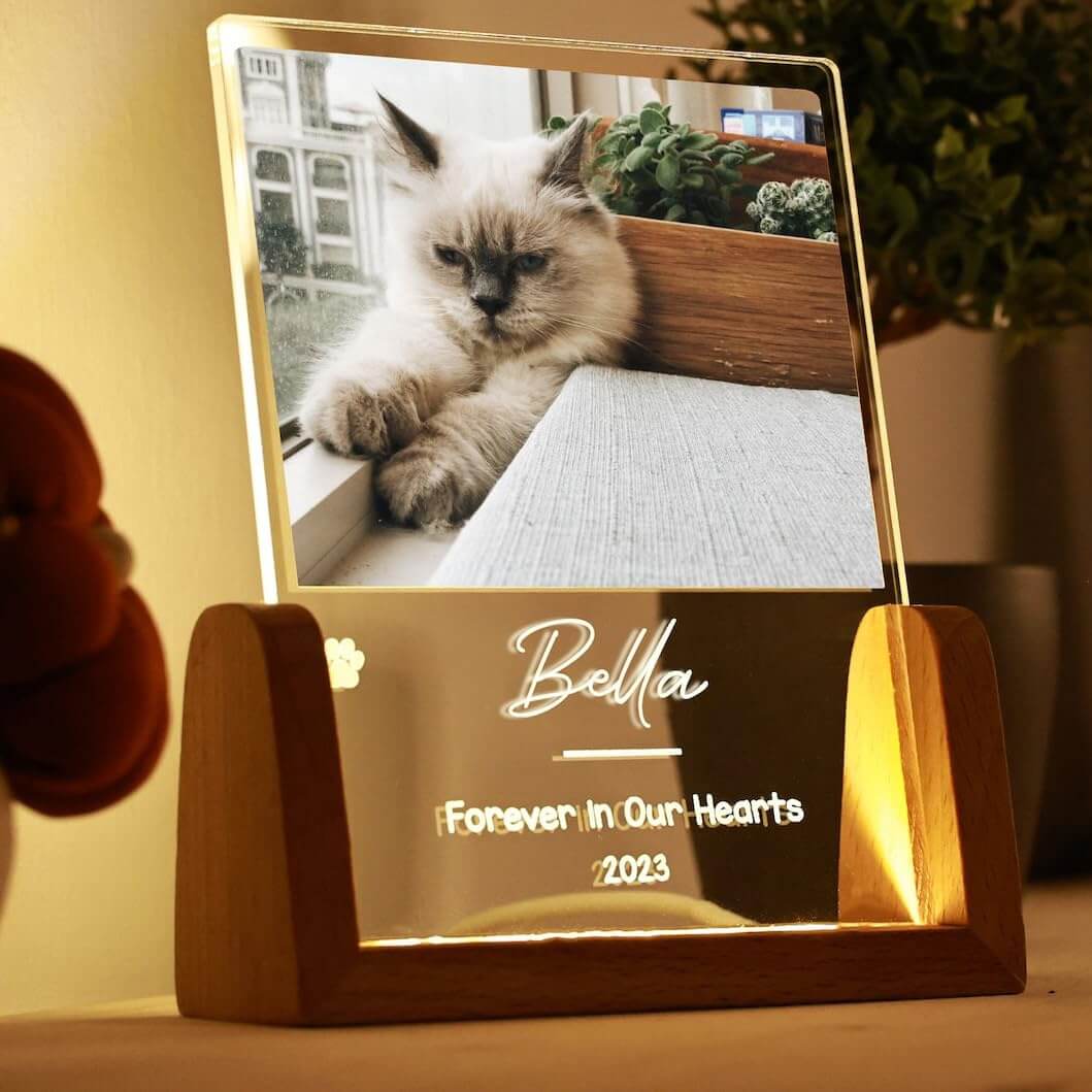 Custom Pet Memorial LED Lamp - 2