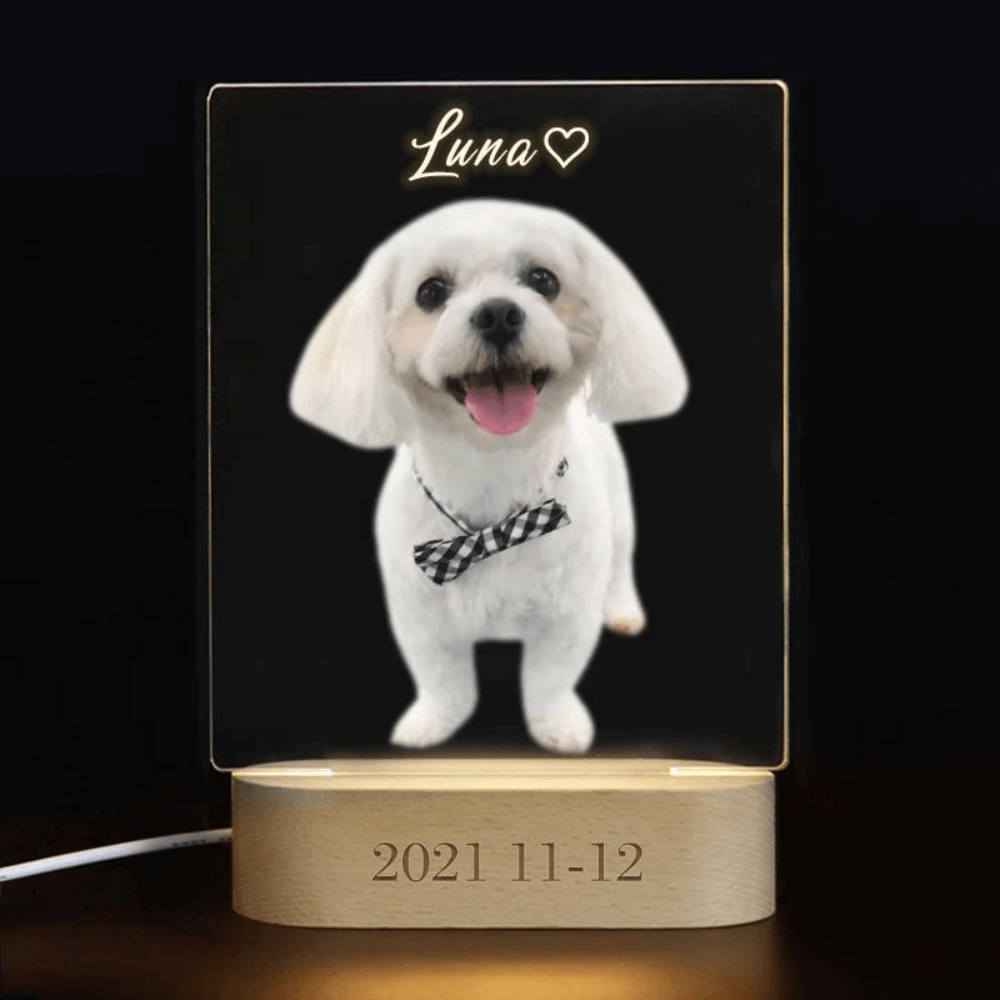 Customized Pet Picture 3D Illusion Night Light with Name - 2