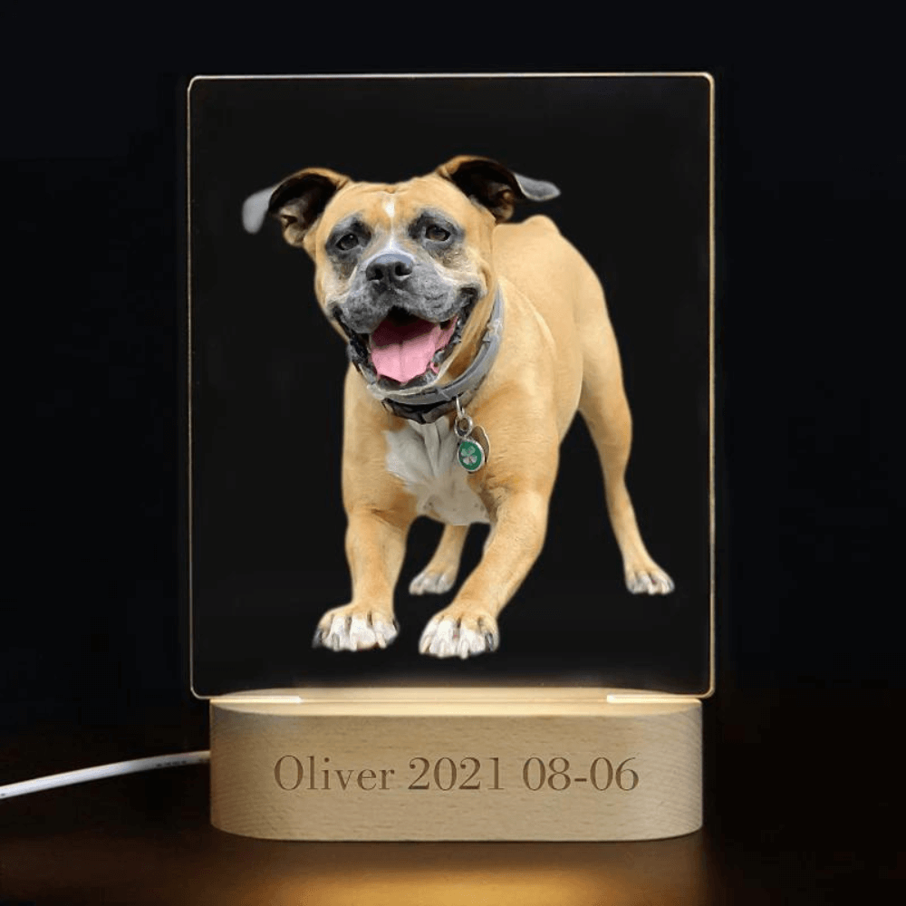Customized Pet Picture 3D Illusion Night Light with Name - 3
