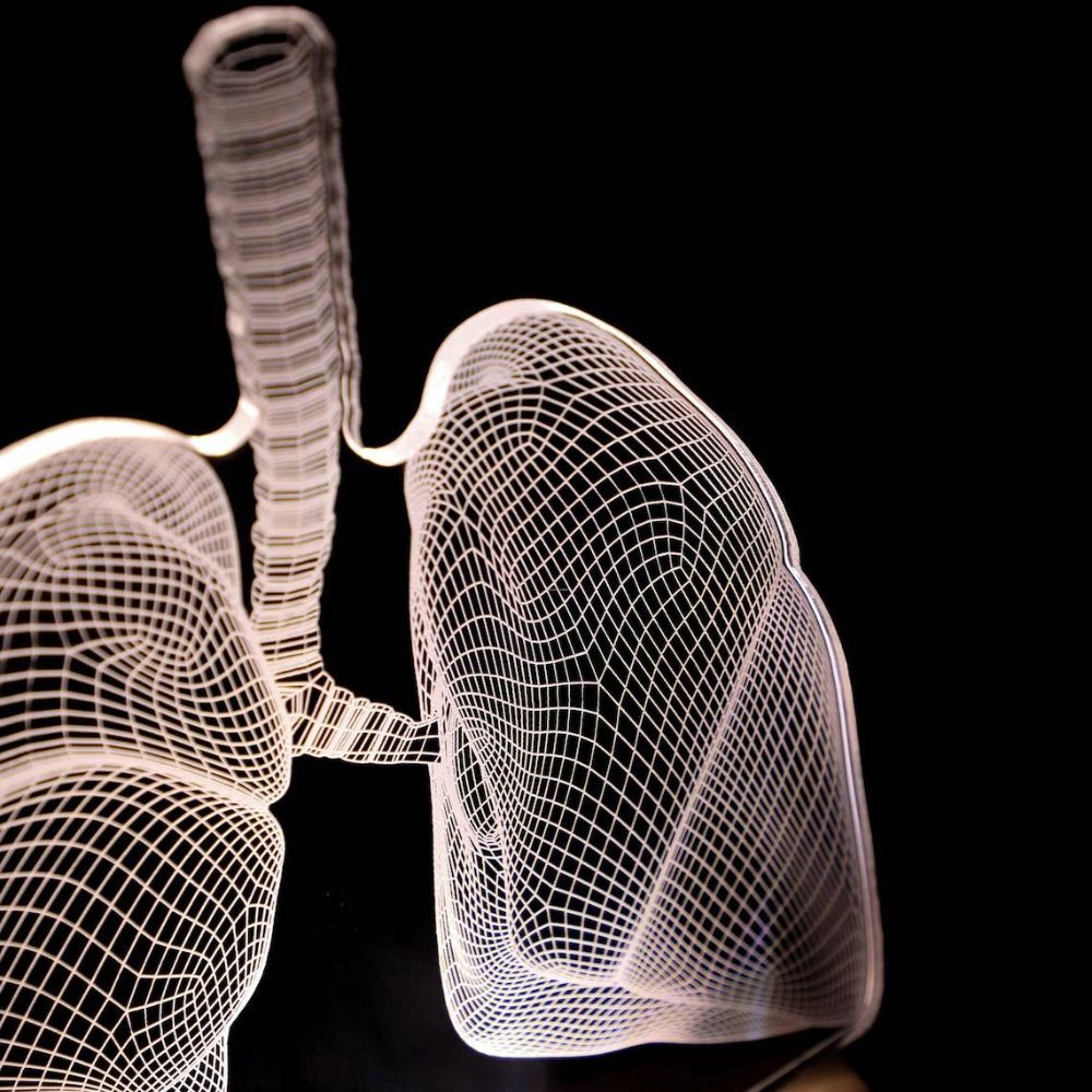 Personalized Lungs 3D illusion Lamp - 3