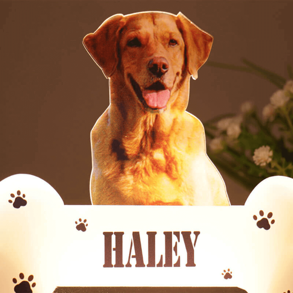 Customized Pet Lamp With Your Pet Photo - 4