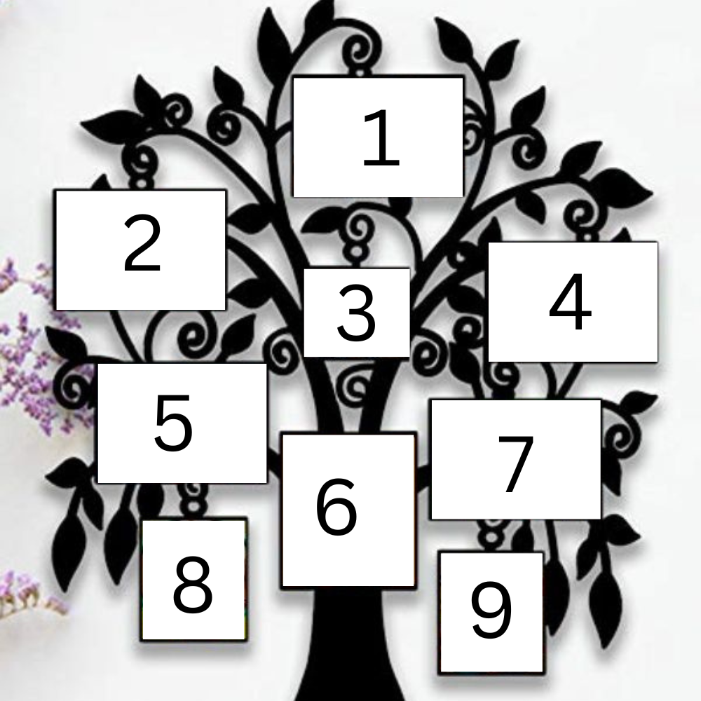 Customized Tree Wall Hanger Frame with Photos - 2