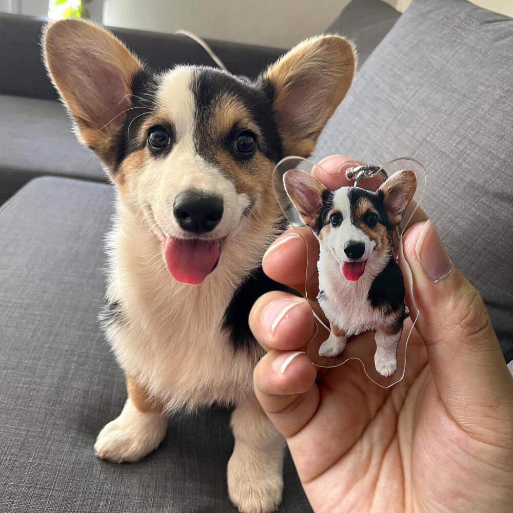 Personalized Pet Keychain Dog, Cat & Bird Photo Keyring