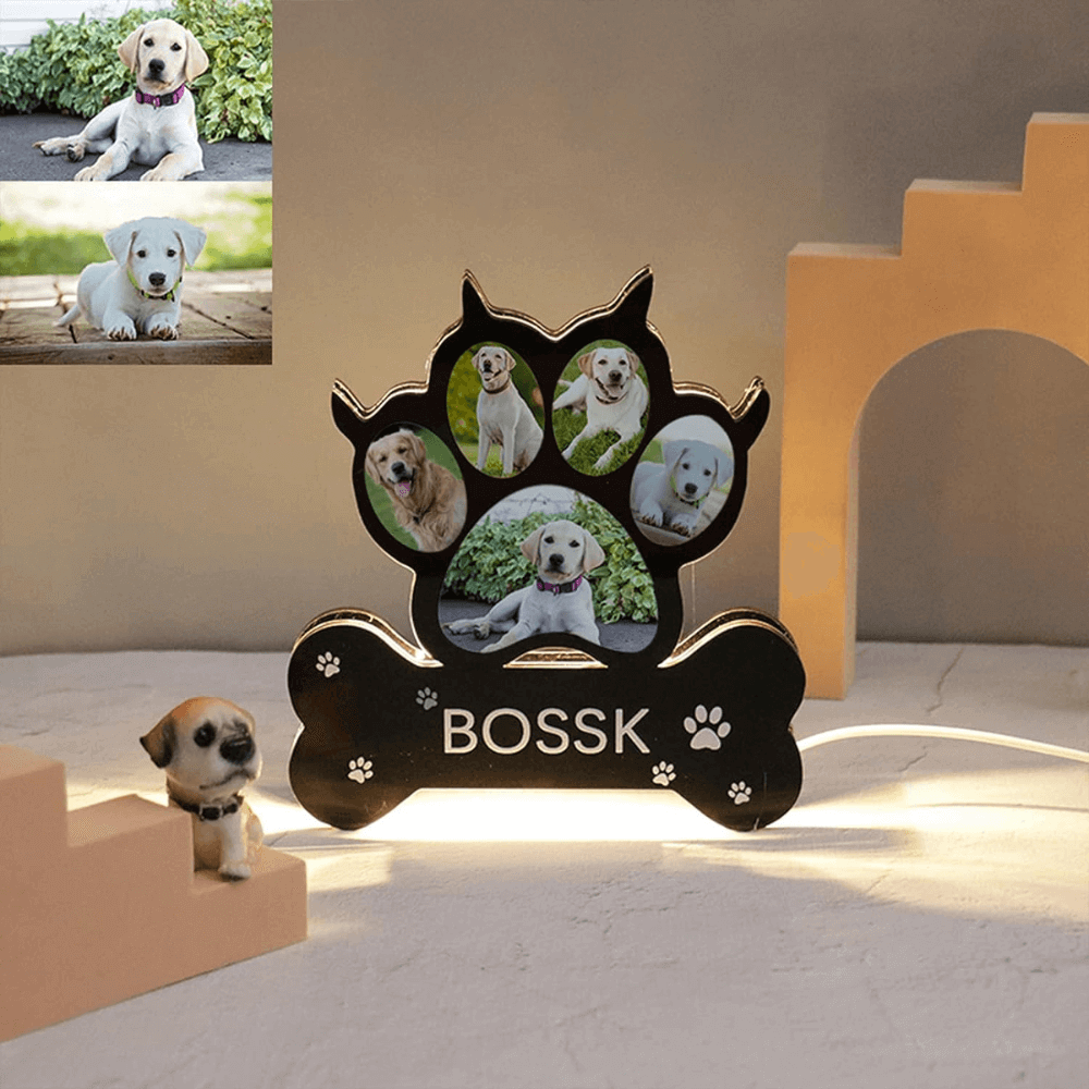 Customized Dog Paw Night Lights