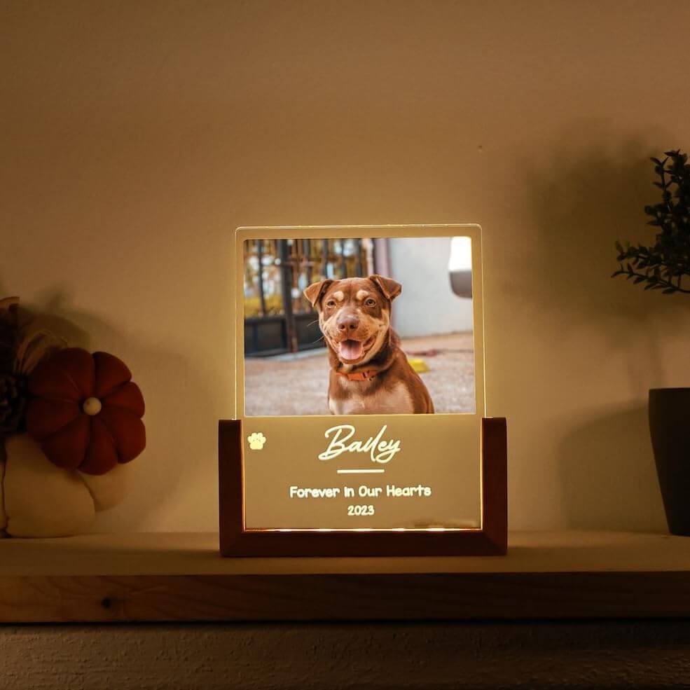 Custom Pet Memorial LED Lamp