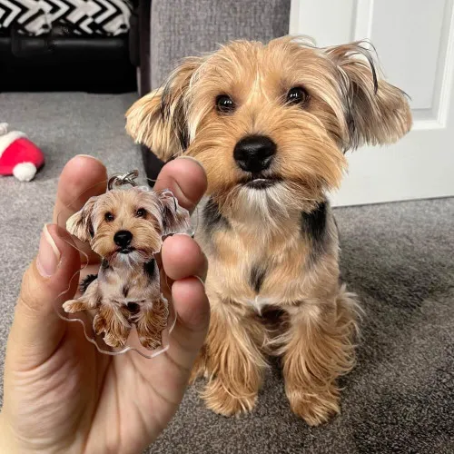 Personalized Pet Keychain Dog, Cat & Bird Photo Keyring