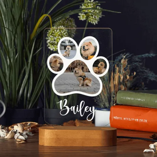 Customized 3D Illusion Dog Photo Lamp With 5 Photos