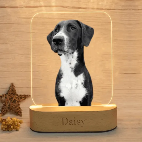 Customized Pet Picture 3D Illusion Night Light with Name