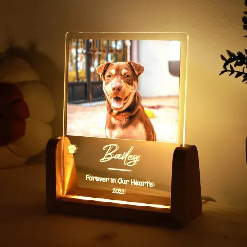 Custom Pet Memorial LED Lamp